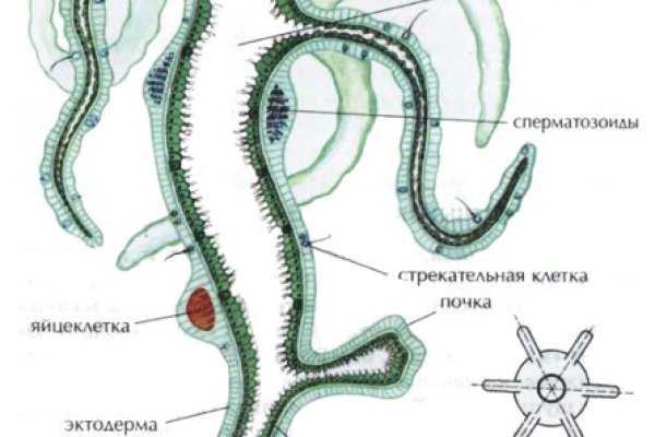 Оригинальный сайт кракен